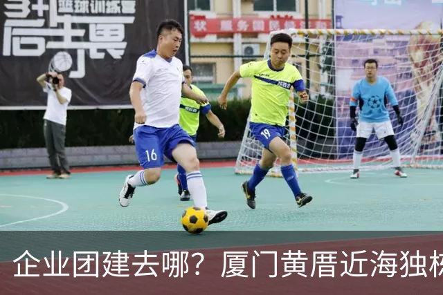 企业团建去哪？厦门黄厝近海独栋别墅实地体验