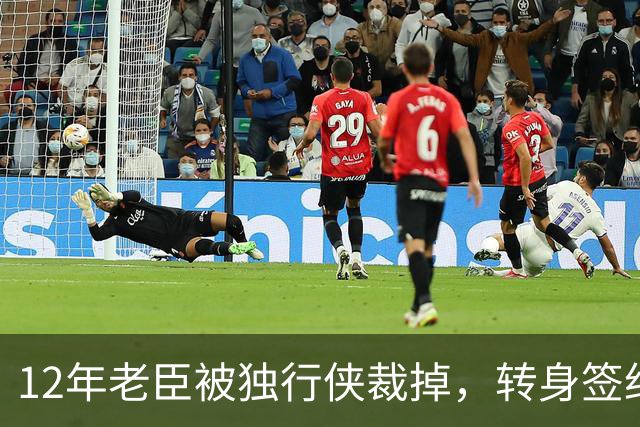 12年老臣被独行侠裁掉，转身签约土耳其费内巴切